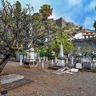Cemitério Britânico da Madeira 23