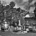 Cemitério Britânico da Madeira 24