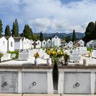 Cemitério de Nossa Senhora das Angústias 03