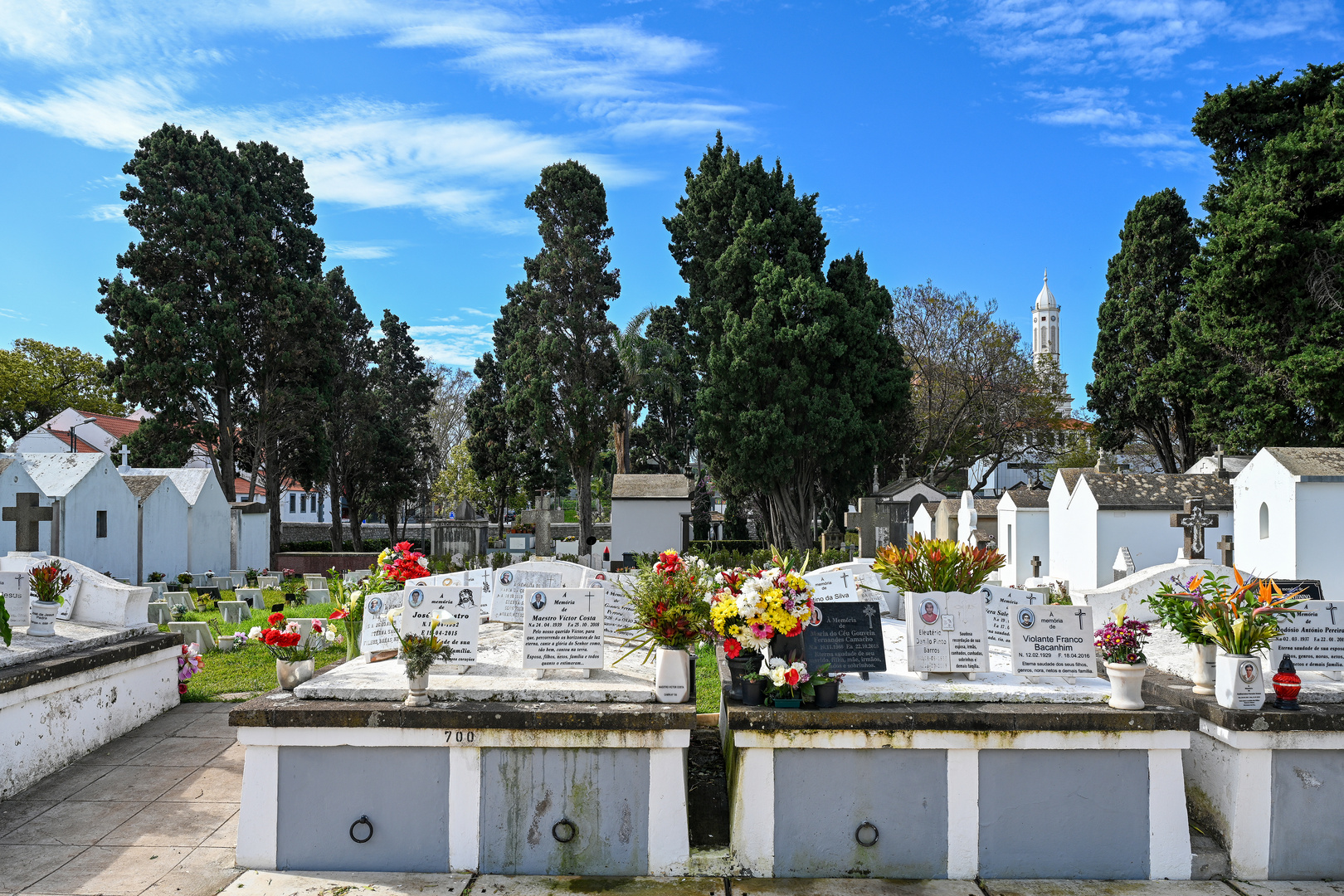 Cemitério de Nossa Senhora das Angústias 05