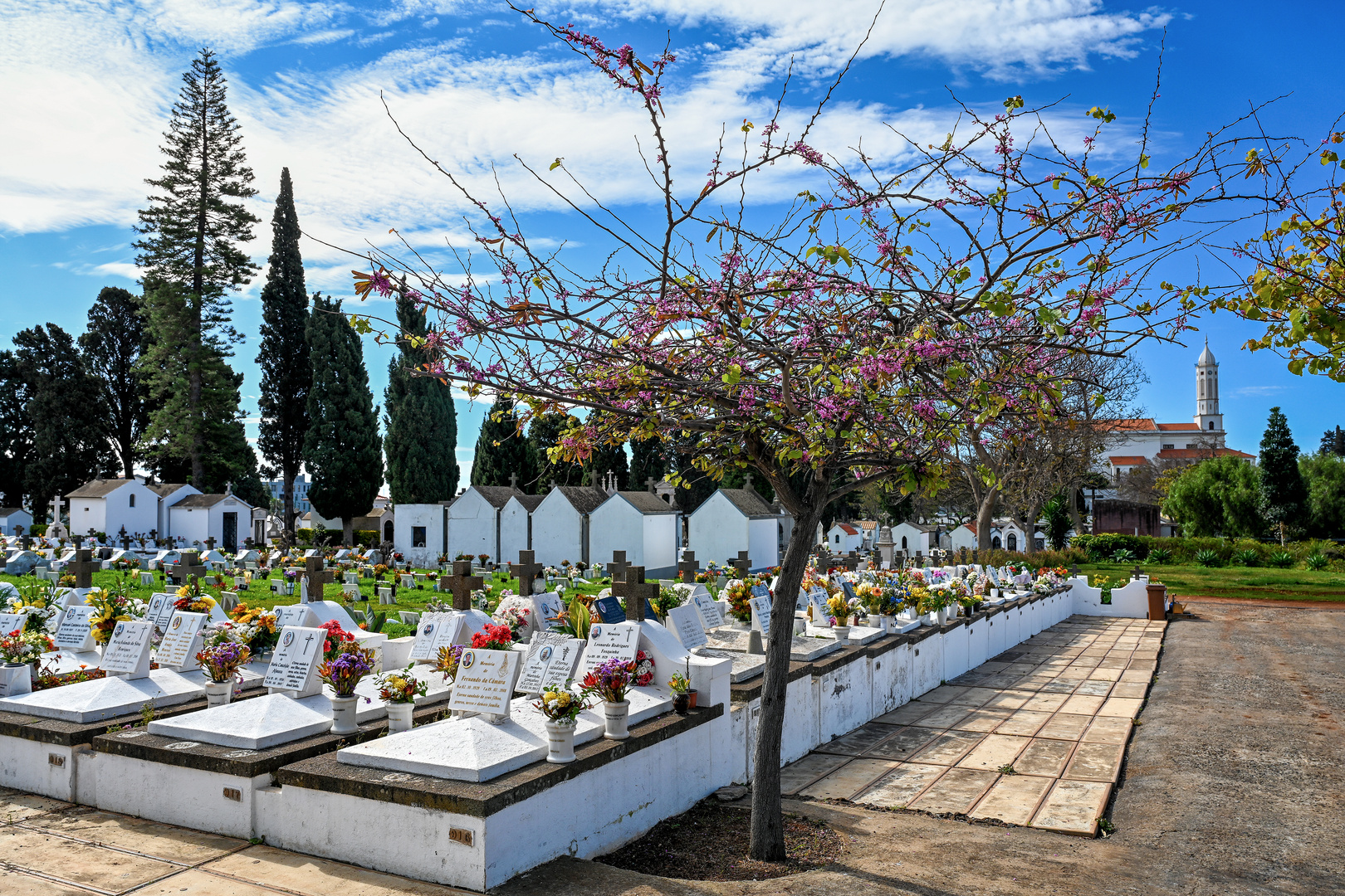 Cemitério de Nossa Senhora das Angústias 12