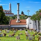 Cemitério de Nossa Senhora das Angústias 13