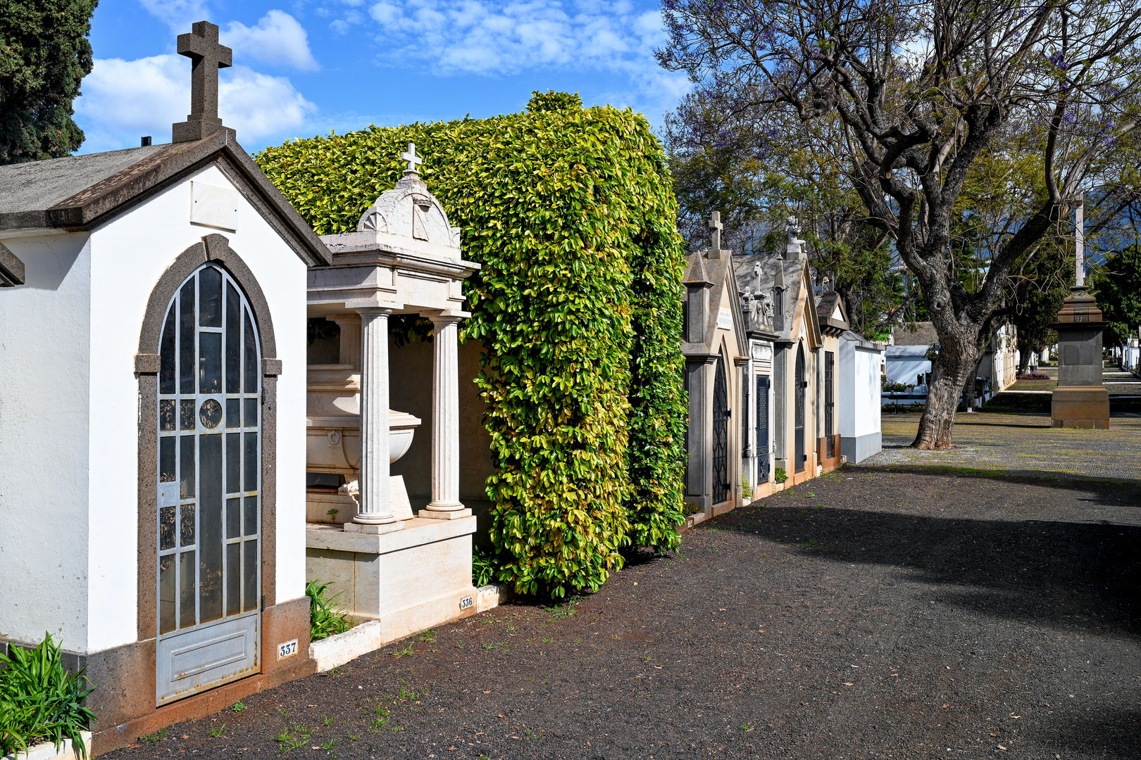 Cemitério de Nossa Senhora das Angústias 15