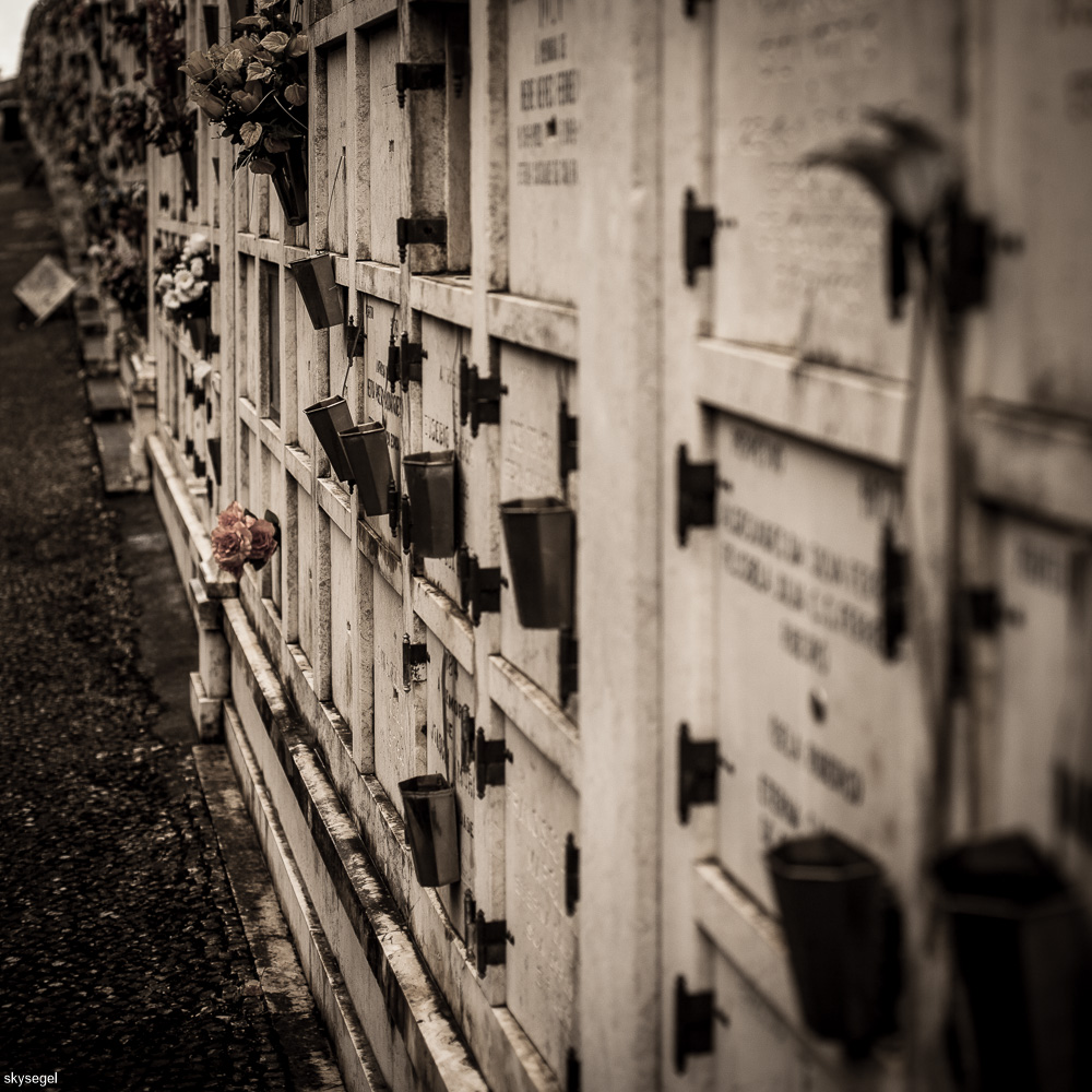 Cemitério dos Prazeres 6