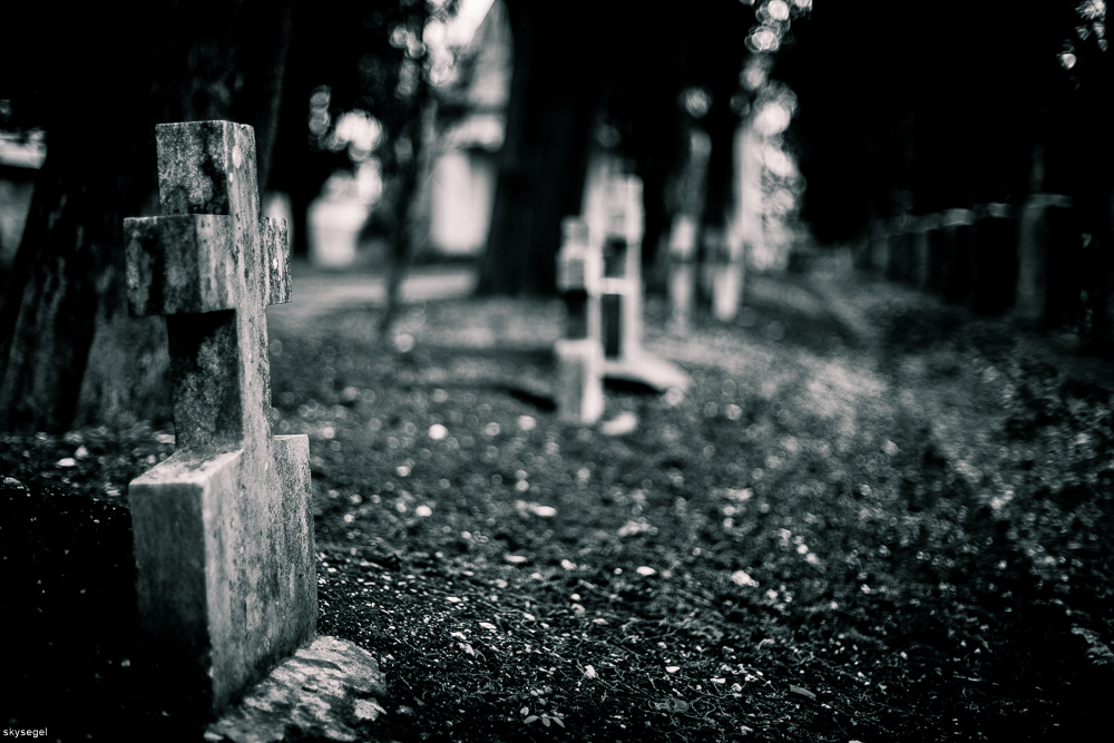 Cemitério dos Prazeres 8