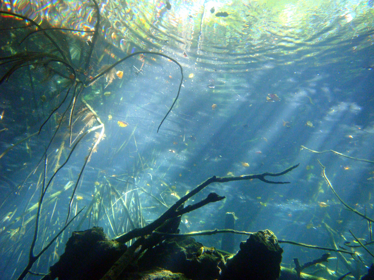 Cenote