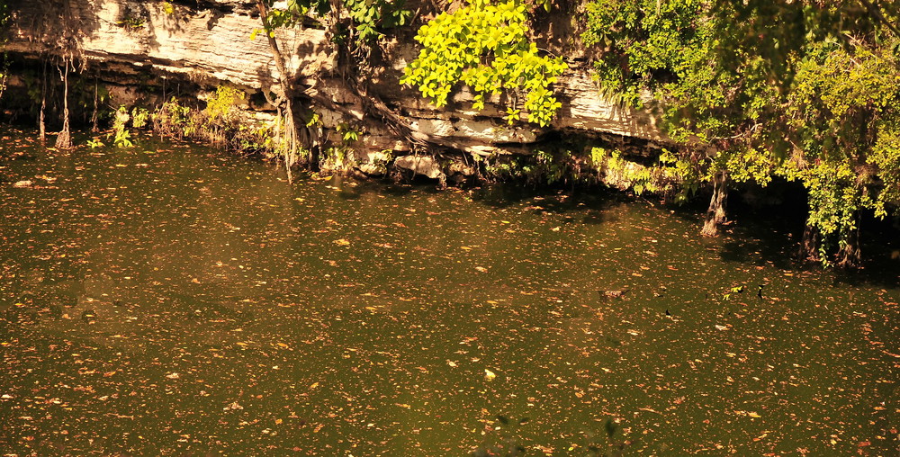 Cenote