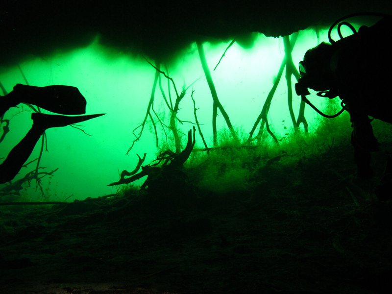 Cenote Carwash