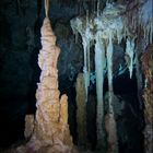 Cenote Dos Ojos #3