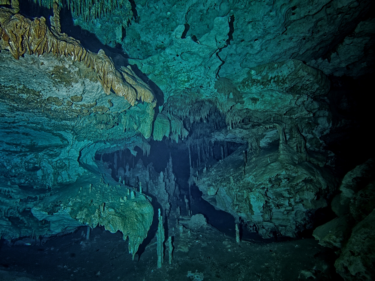 Cenote "Dreamgate" II