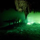 Cenote "Dreamsgate"