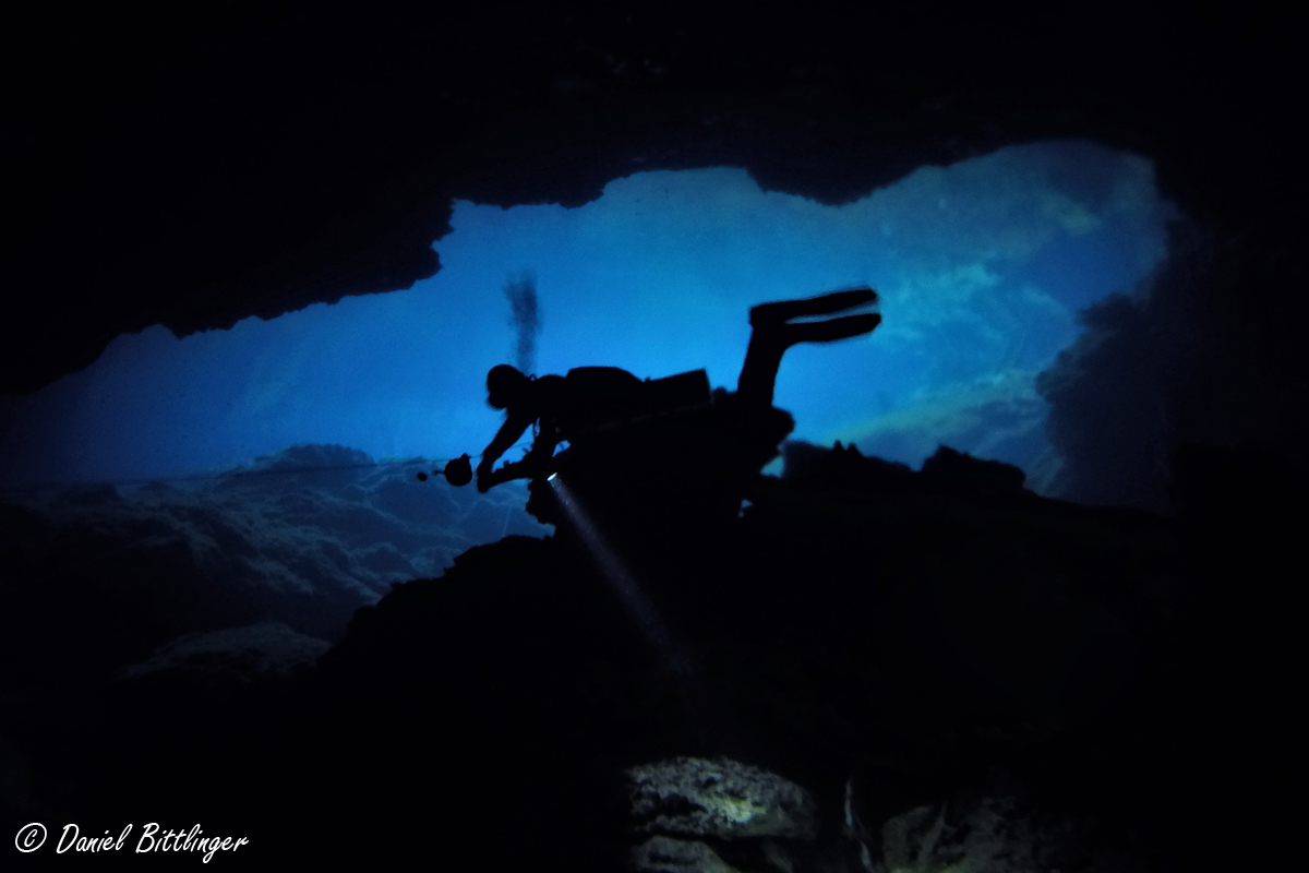 Cenote Eden