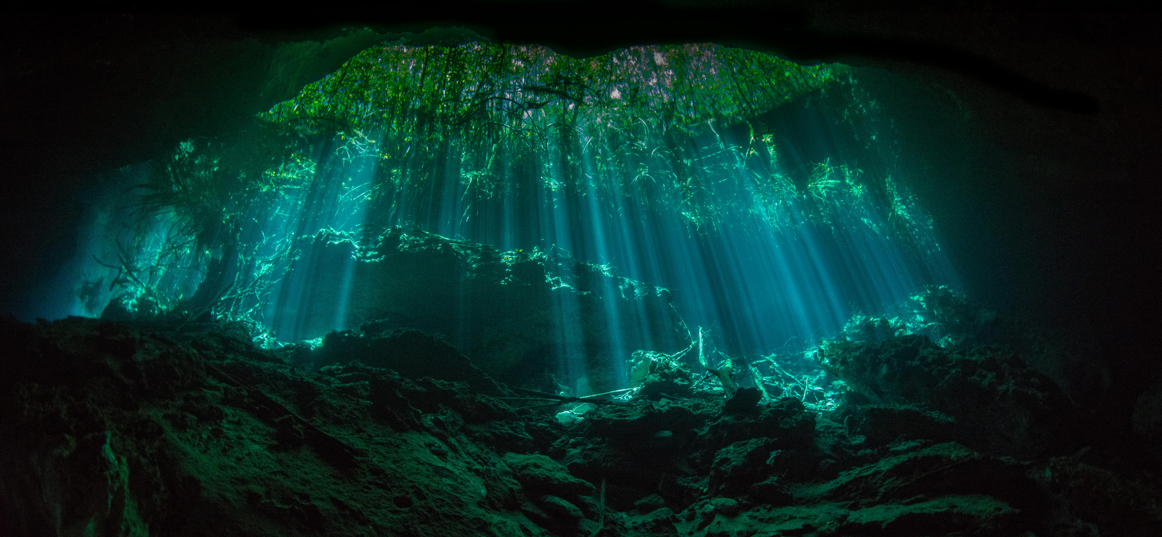 Cenote Eden