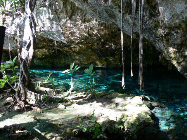 CENOTE PARADISIAK