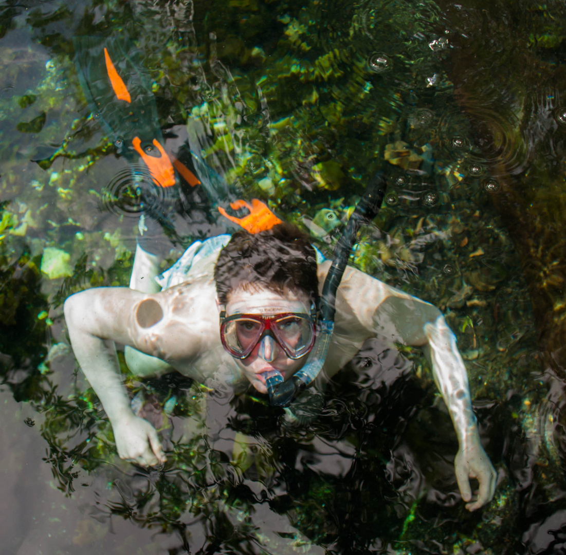 Cenote snorkler