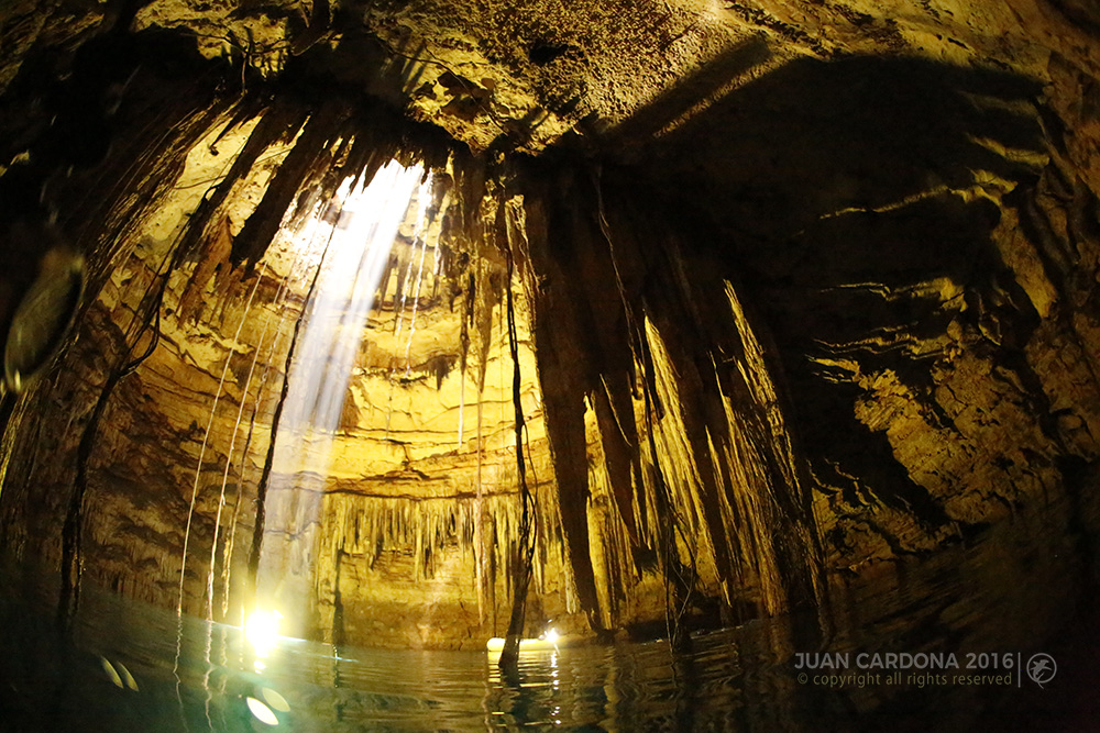 cenotes