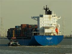 CENTAURUS / Container ship / Schelde / Antwerpen