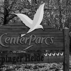 Center Parcs Bispinger Heide