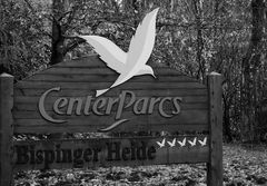 Center Parcs Bispinger Heide