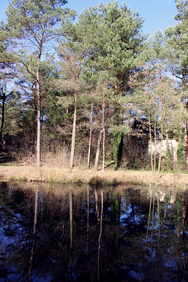 Centerpark Bispinger Heide 3