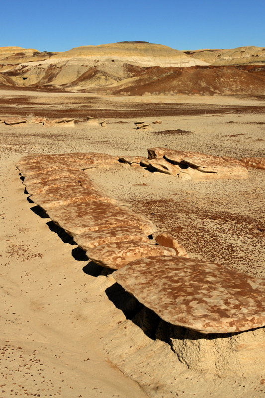 Centipede Stones