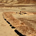 Centipede Stones