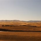 "Central Califonia Foothills"