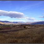 Central Otago