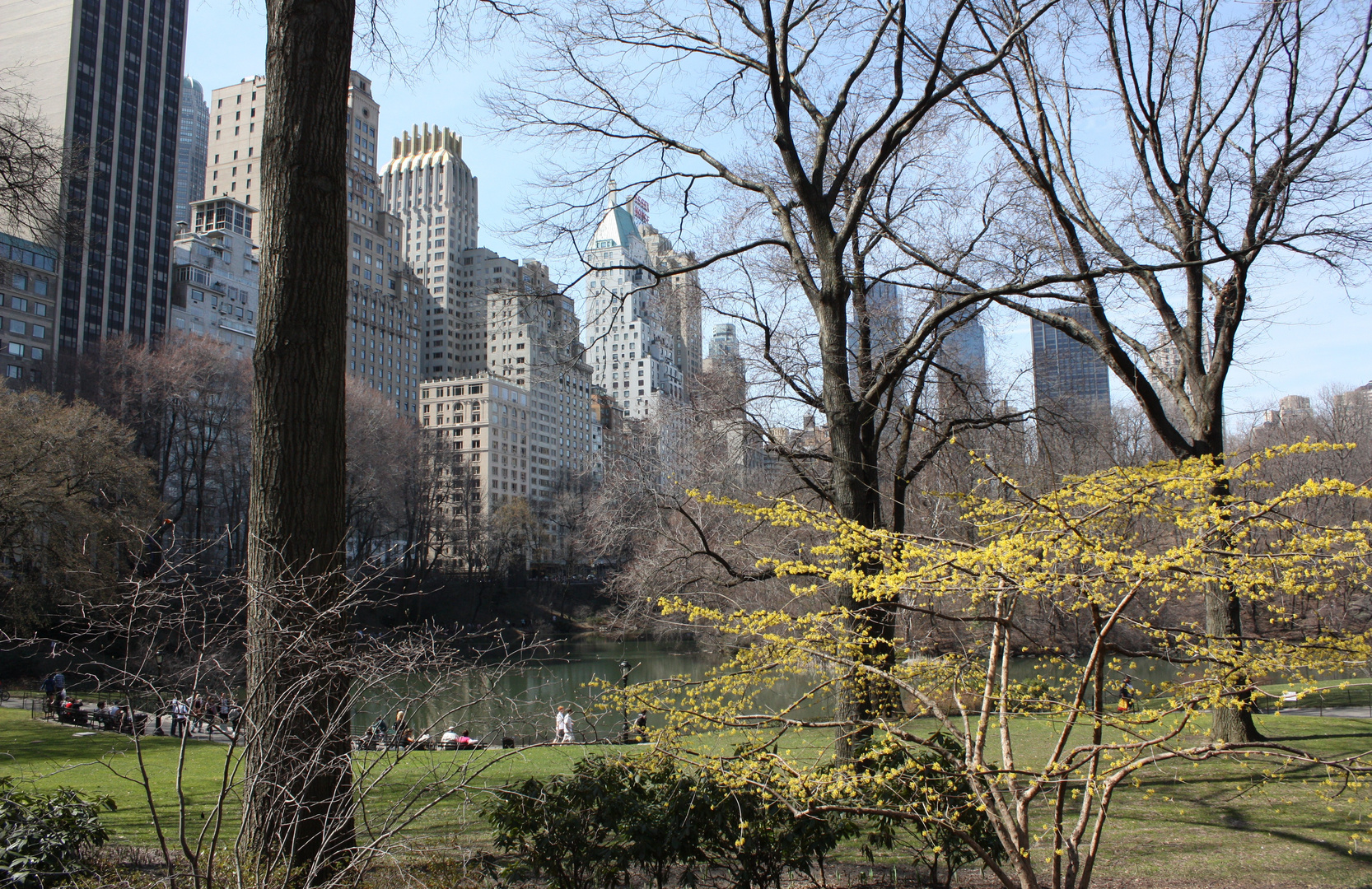 Central Park