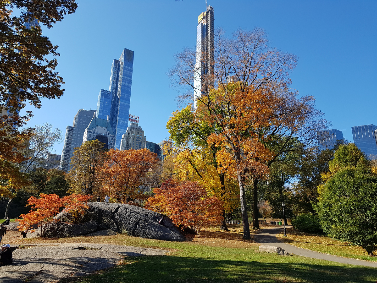 central Park photo et image north america, united states, nature