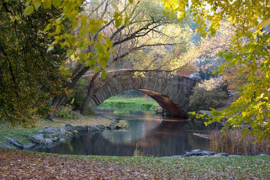 Central Park