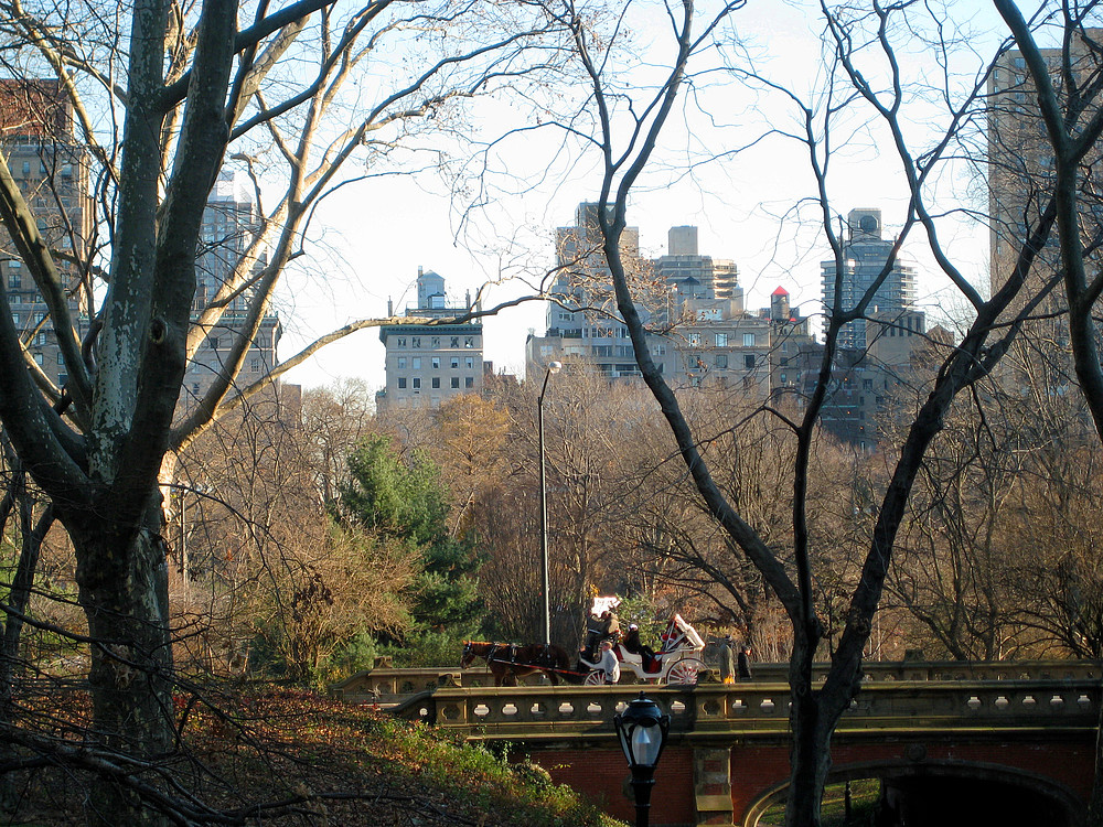 Central Park