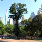 Central Park