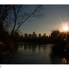 Central Park al tramonto