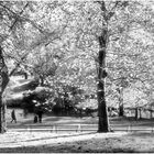 Central Park Autumn - Along the Pool 