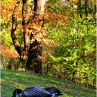 Central Park Autumn No. 3 - Visitors