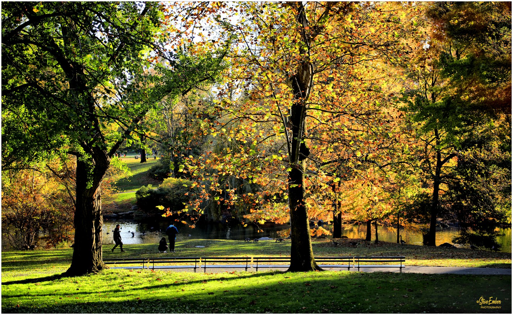 Central Park Autumn No.2  