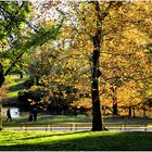 Central Park Autumn No.2  