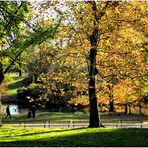 Central Park Autumn No.2  