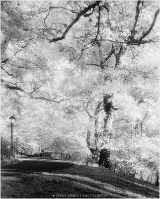 Central Park Autumn No.7 - An Infrared Impression
