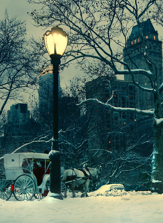 Central Park before Christmas