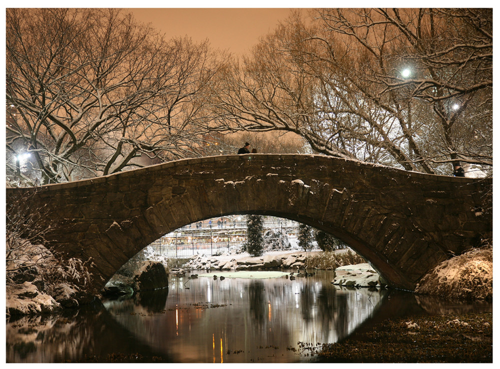 Central Park before Christmas1