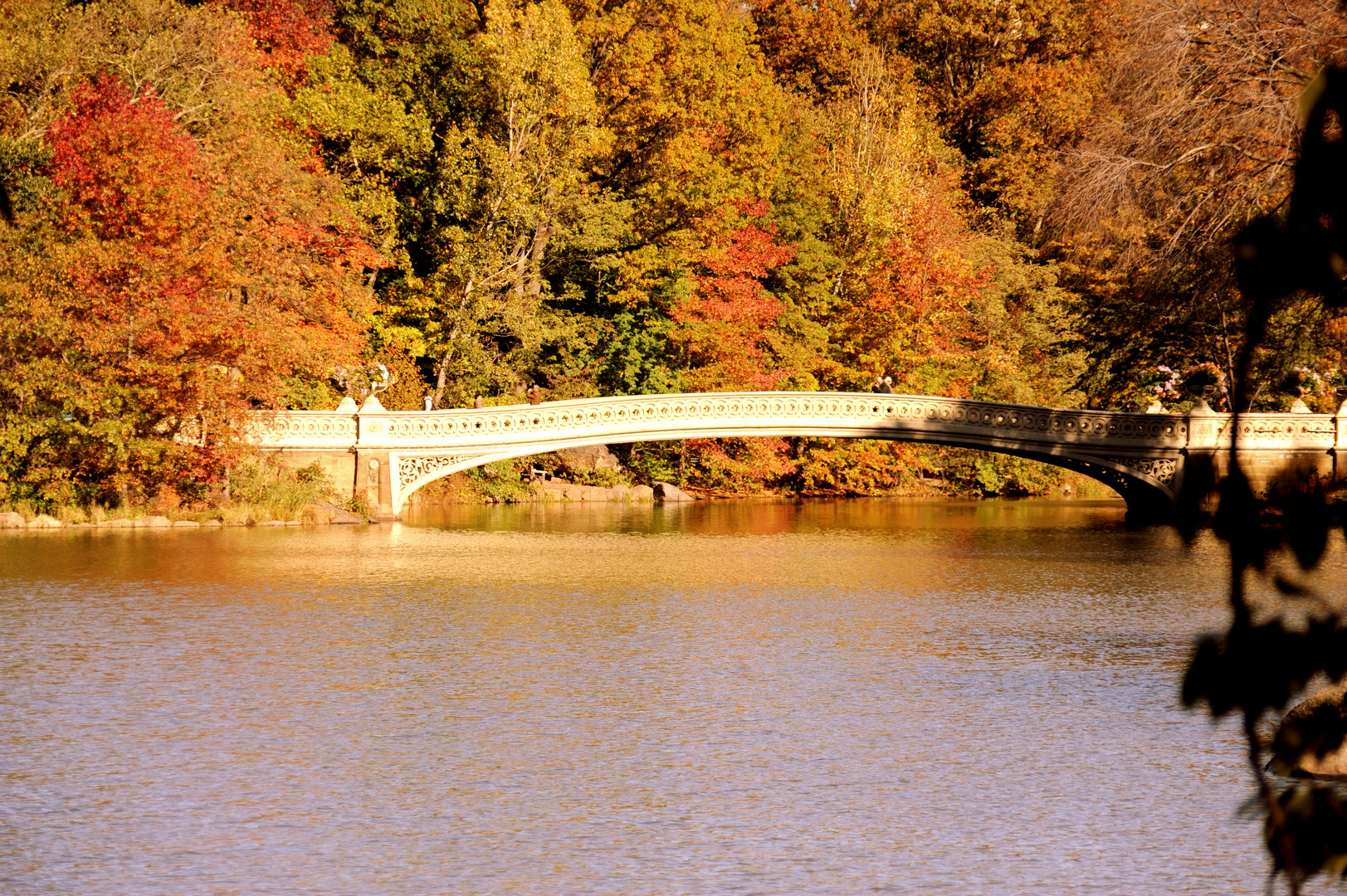 Central Park Bridge