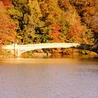 Central Park Bridge