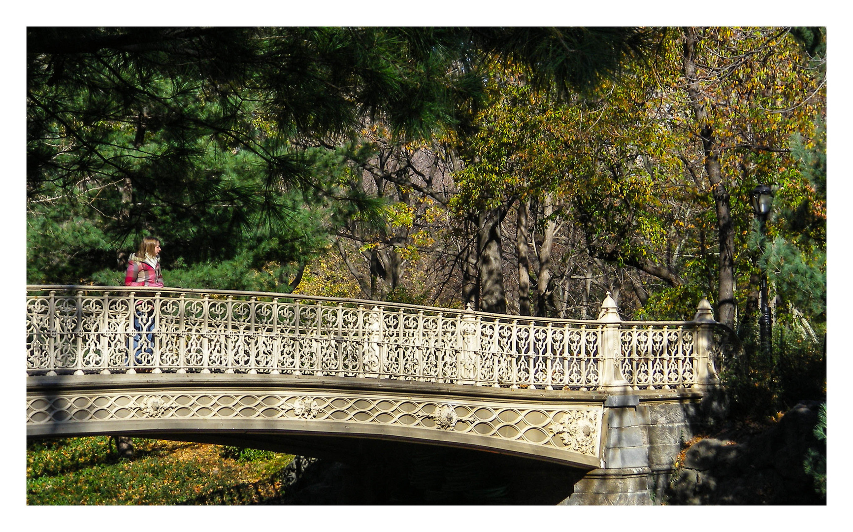 central park bridge