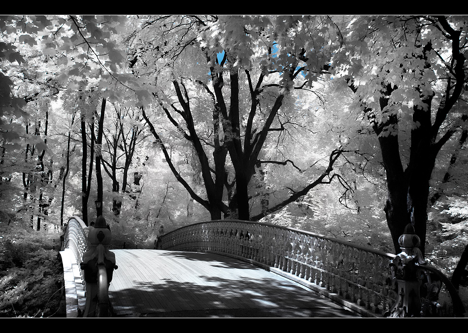 Central park bridge IR