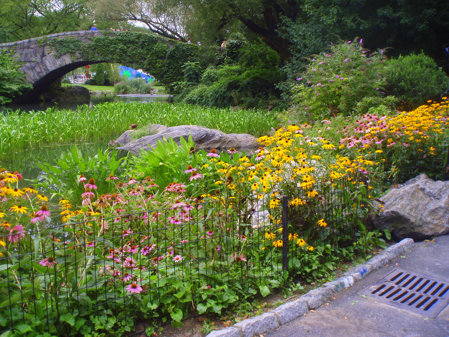 central park