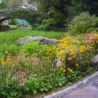 central park