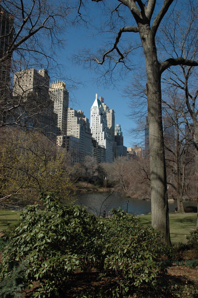 Central Park