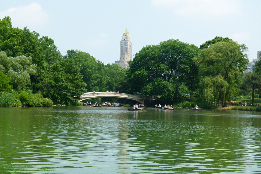 ...Central Park - die grüne Lunge...